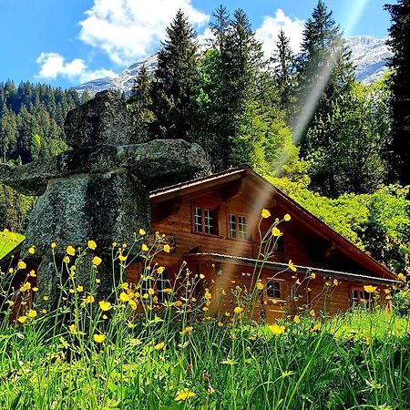 Alpenlodge Willigen Luaran gambar