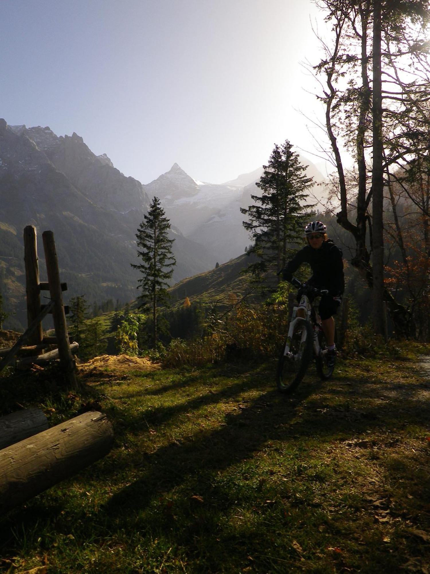 Alpenlodge Willigen Luaran gambar