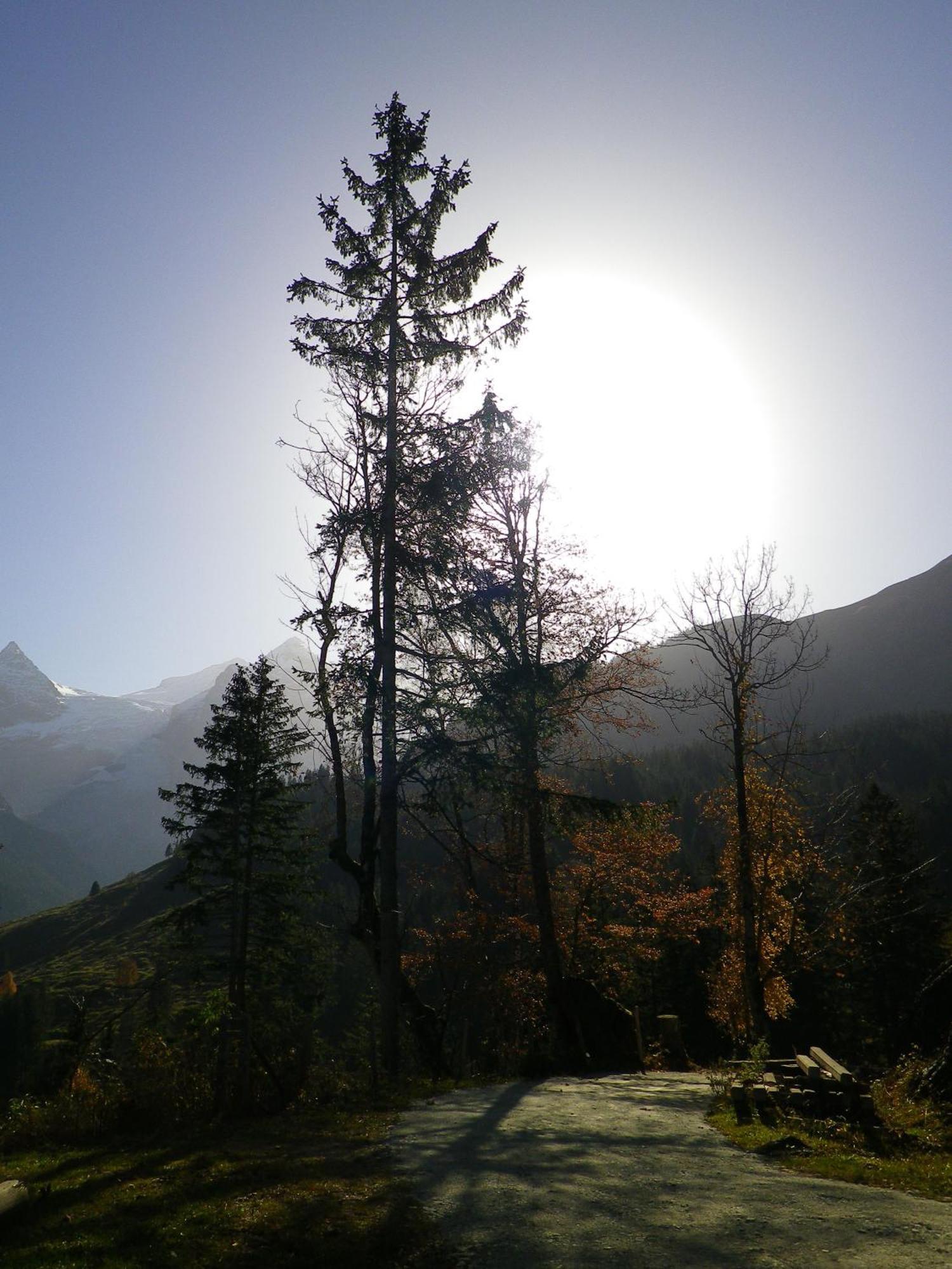 Alpenlodge Willigen Luaran gambar