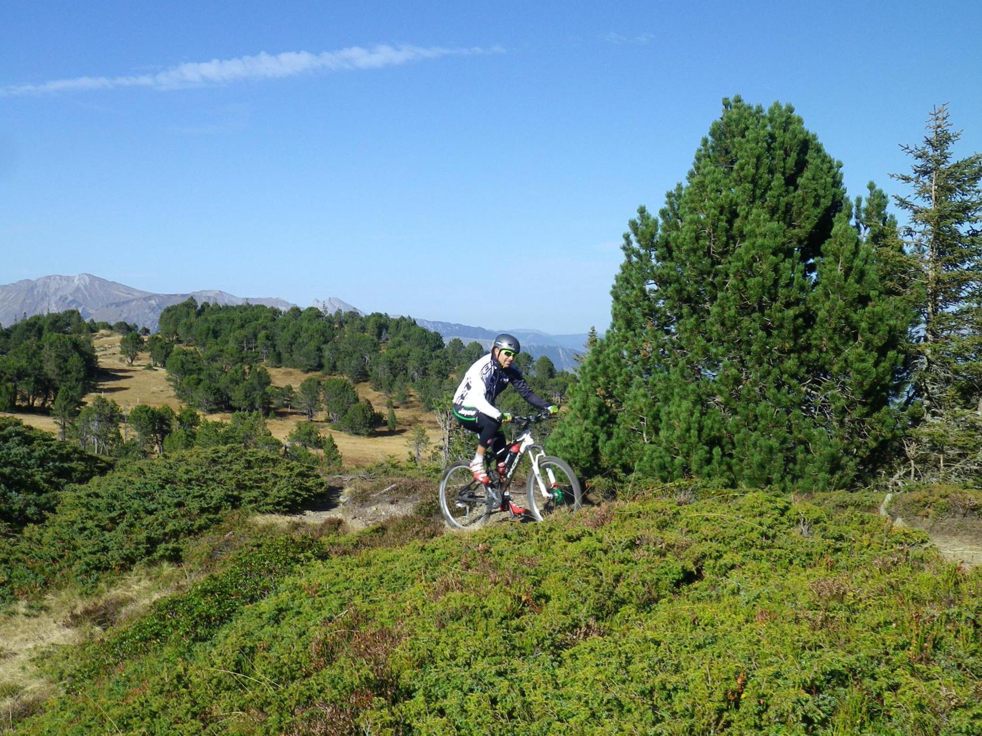 Alpenlodge Willigen Luaran gambar