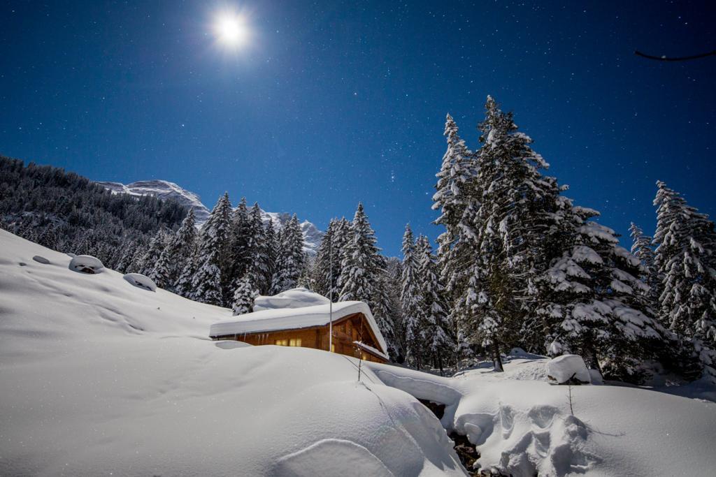 Alpenlodge Willigen Luaran gambar