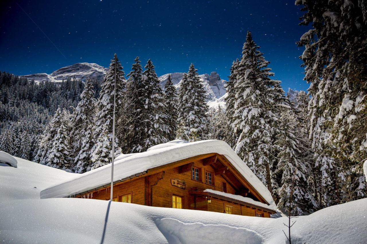 Alpenlodge Willigen Luaran gambar