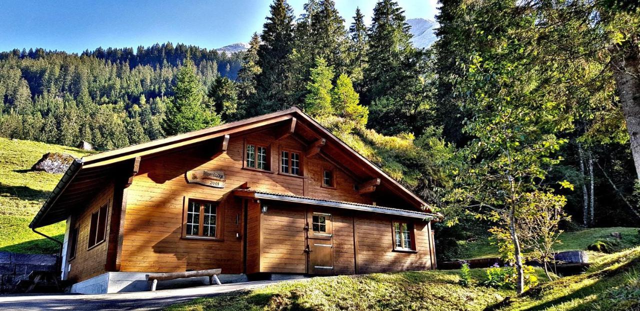 Alpenlodge Willigen Luaran gambar