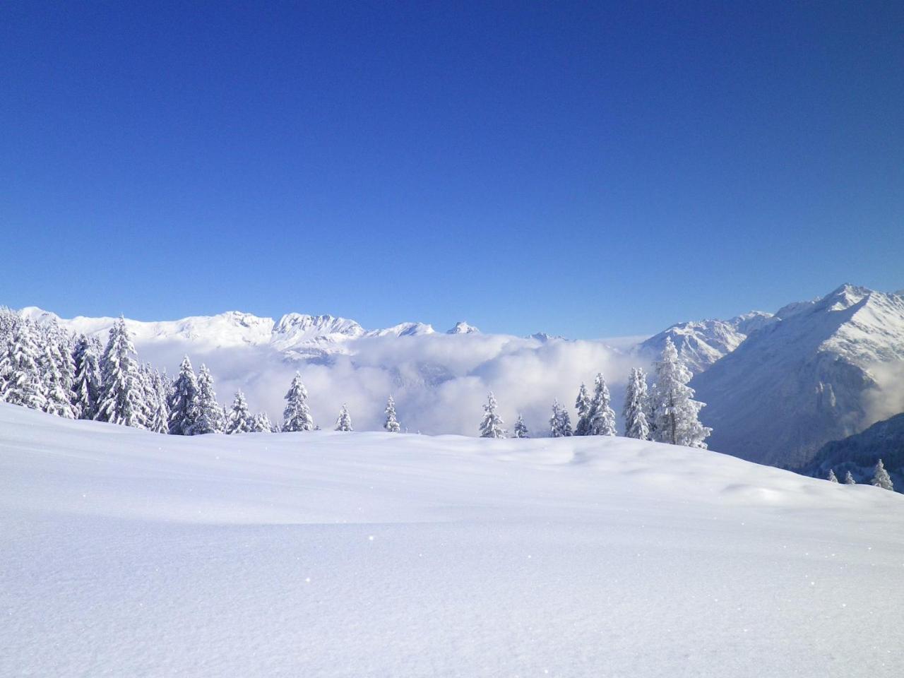 Alpenlodge Willigen Luaran gambar