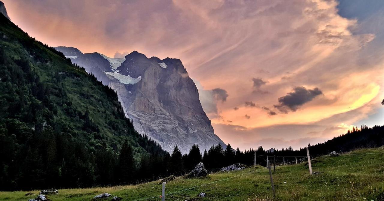 Alpenlodge Willigen Luaran gambar