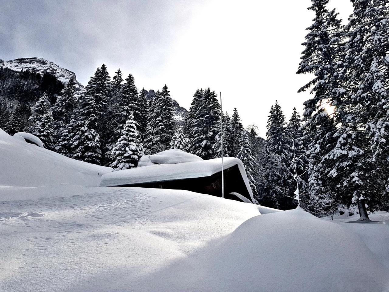 Alpenlodge Willigen Luaran gambar