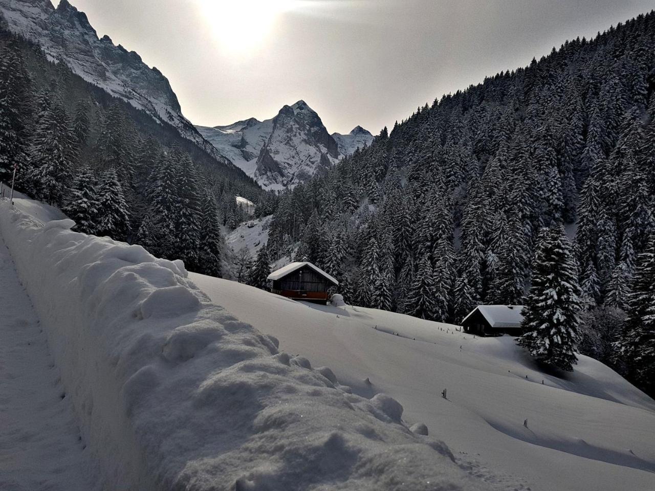 Alpenlodge Willigen Luaran gambar