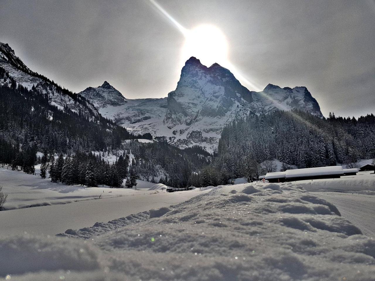 Alpenlodge Willigen Luaran gambar