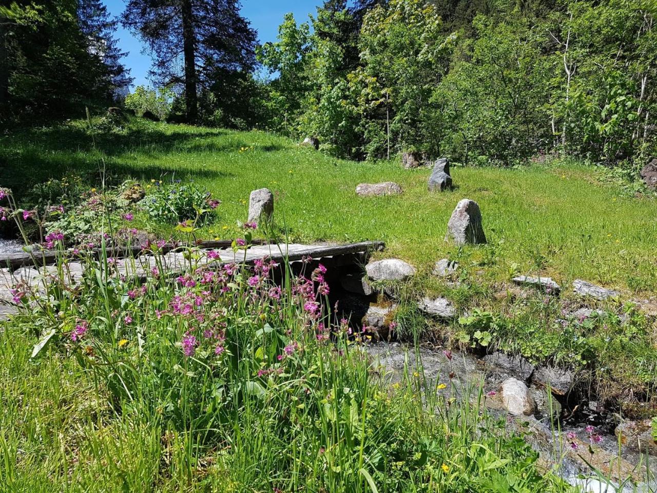 Alpenlodge Willigen Luaran gambar