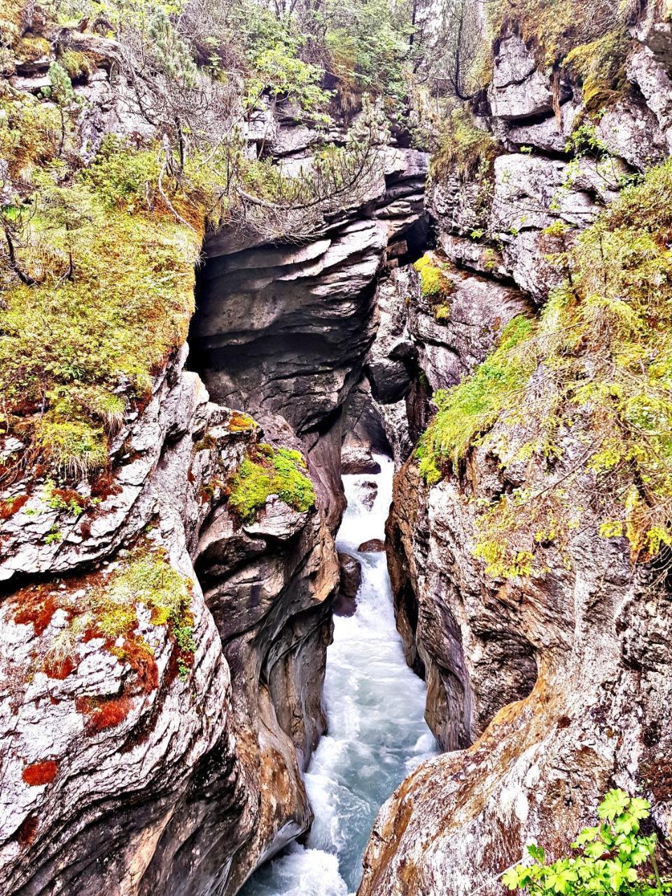 Alpenlodge Willigen Luaran gambar