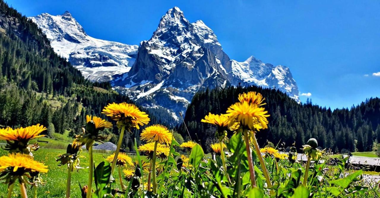 Alpenlodge Willigen Luaran gambar