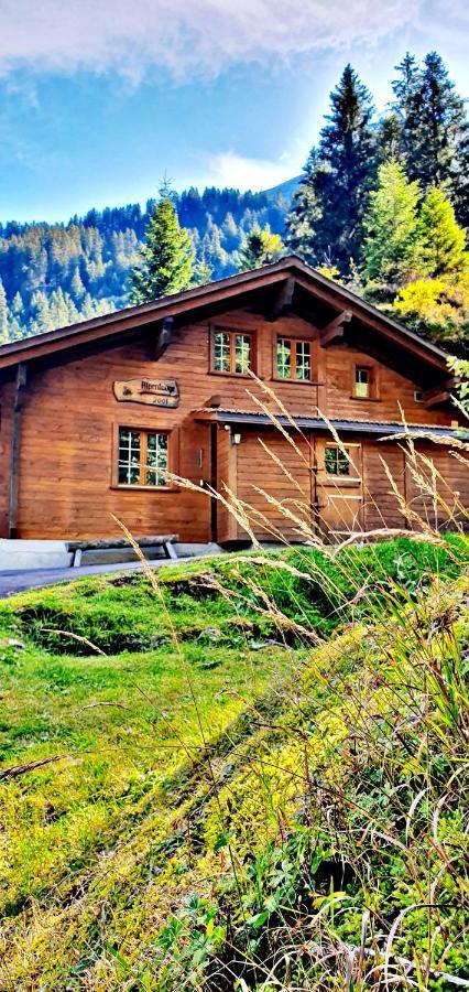 Alpenlodge Willigen Luaran gambar