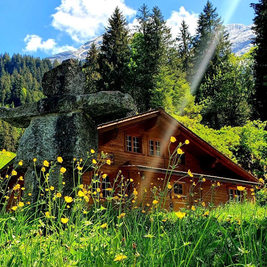 Alpenlodge Willigen Luaran gambar